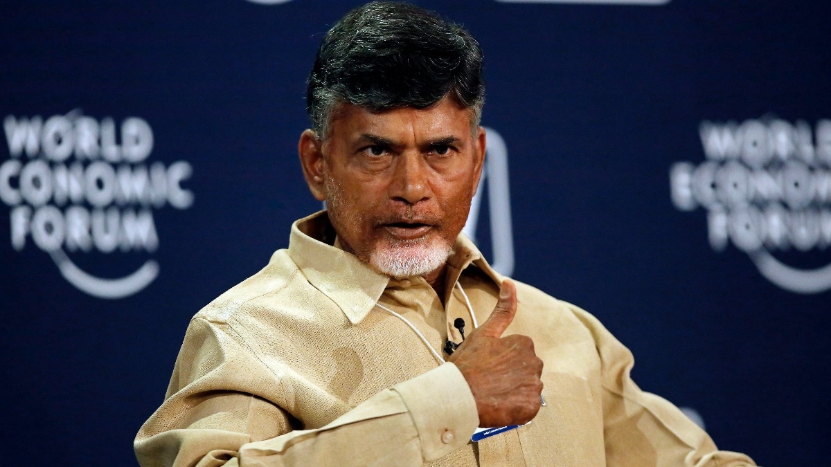 Andhra Pradesh Chief Minister N Chandrabau Naidu. (File photo) File photo of Chandrababu Naidu