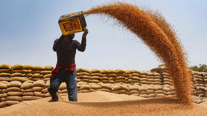 From mandis to mills to markets, wheat moves through several stages like milling, packaging, branding, transport, and retail sale. (Image:PTI) From mandis to mills to markets, wheat moves through several stages like milling, packaging, branding, transport, and retail sale. (Image:PTI)