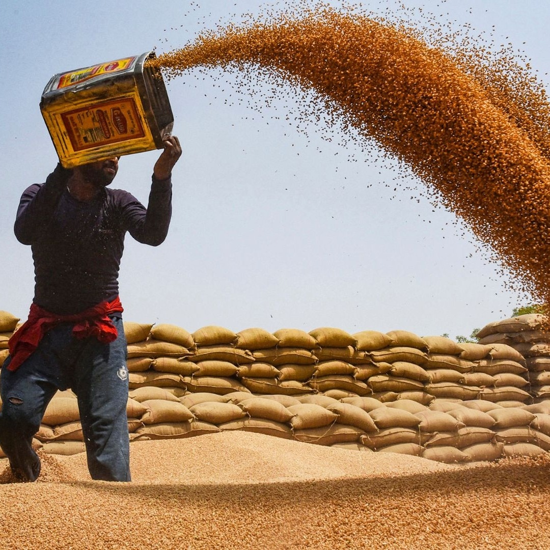 Wheat grain cheaper now, but your atta, bread prices haven't dipped. Why?
