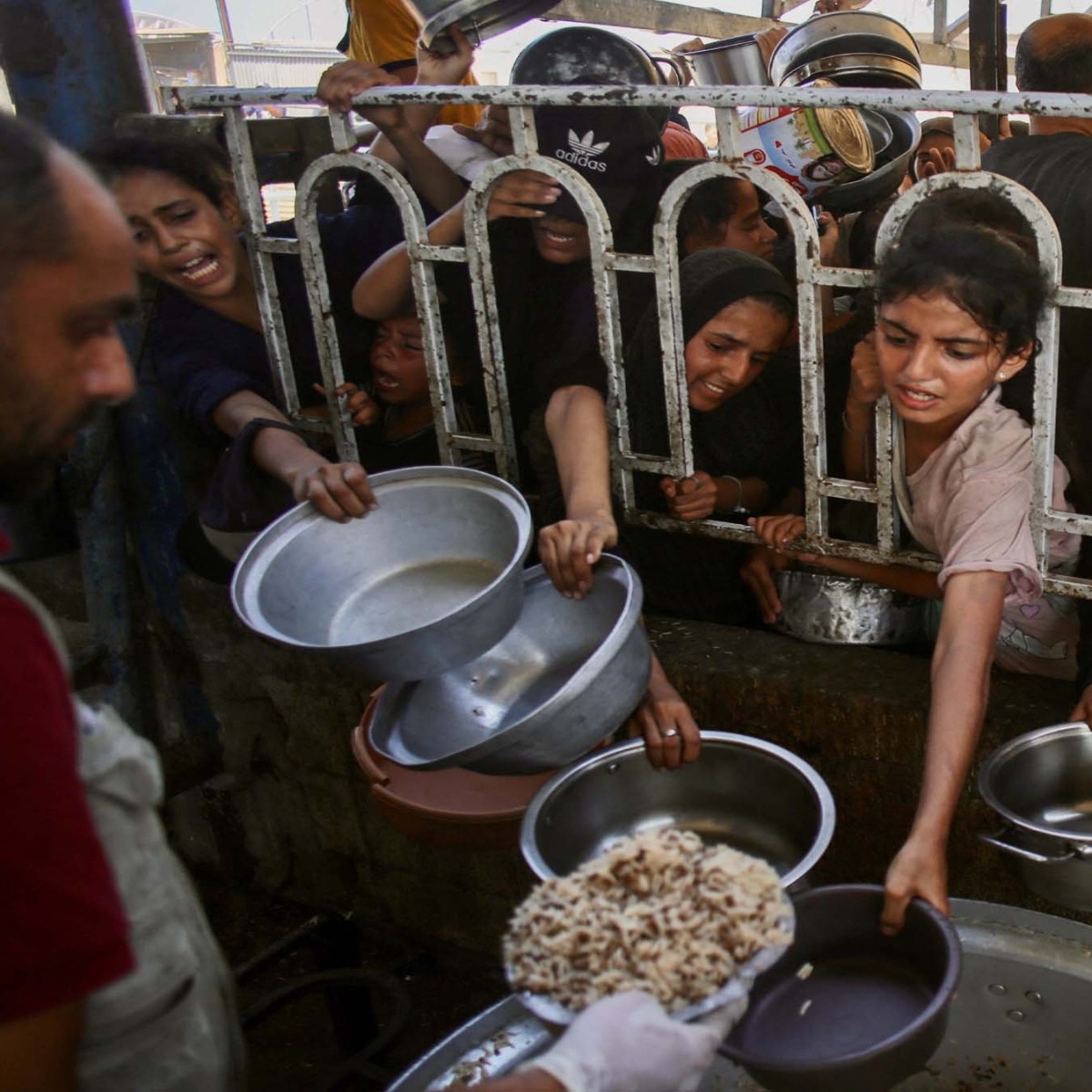 How hunger damages the body, brain and immune system