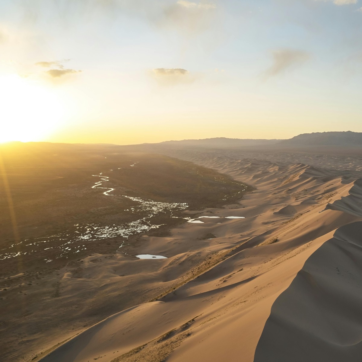 Which is the largest desert of Asia?