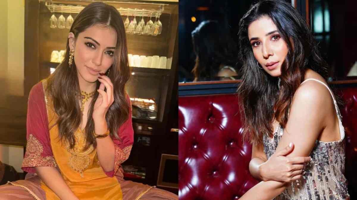 Hansika Motwani sues sister-in-law for defamation over domestic violence accusations