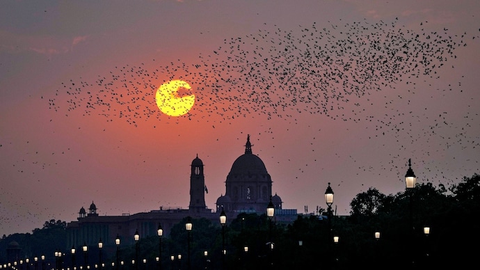 A flock of starlings flies over the Raisina Hill area during sunset, in New Delhi. (Photo: PTI) Heatwave