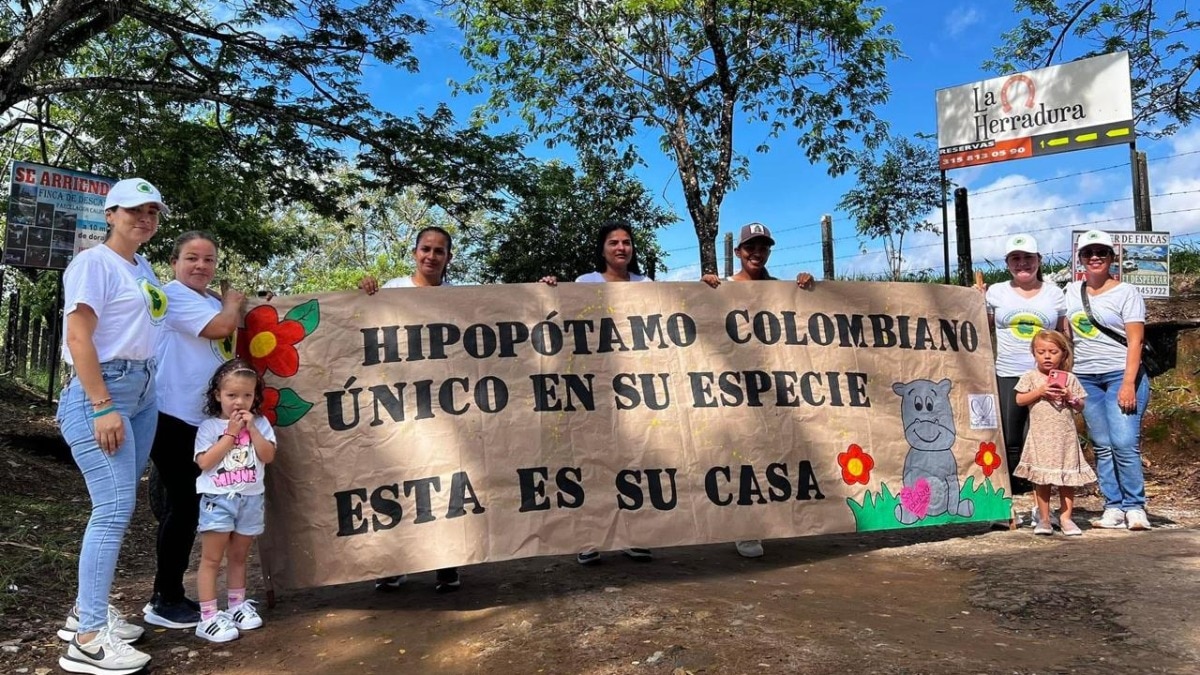 Vantara Founder formally petitions the Government of Colombia, offering scientific, operational, and financial support to safely capture, translocate, and provide lifelong care for the 80 animals.