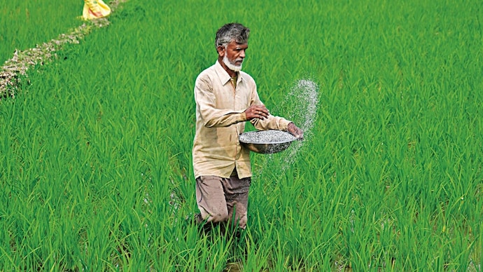 India imports 60% of DAP and 15% of urea, increasing vulnerability.