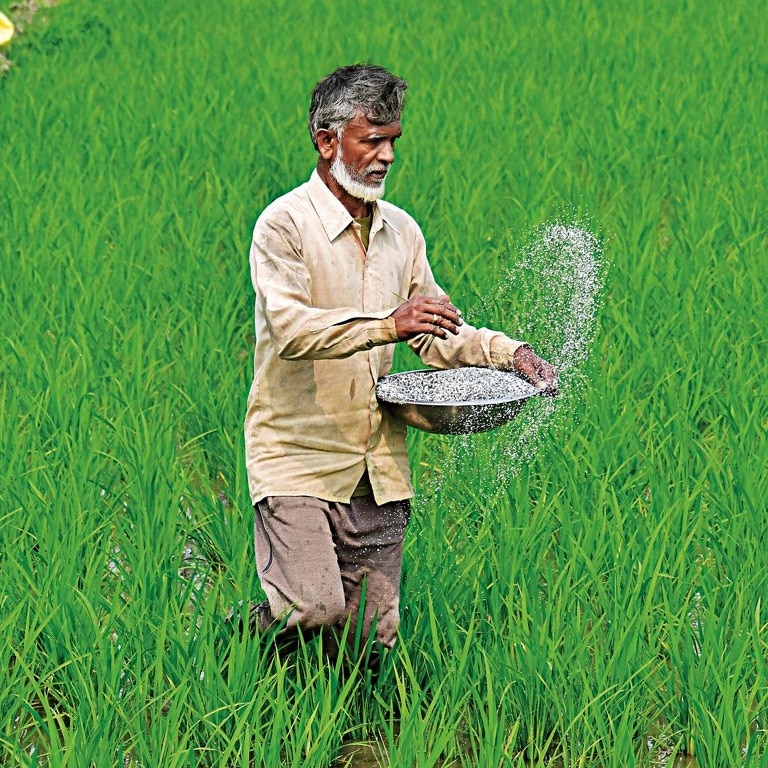 Fertiliser prices surge globally amid Hormuz crisis. Will farmers be impacted?