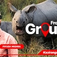 India Today journalist Piyush Mishra reports from Kaziranga India Today journalist Piyush Mishra reports from Kaziranga