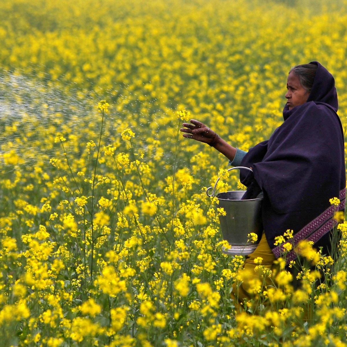 India fast-tracks urea factory plans in Russia amid Iran war-sparked crisis