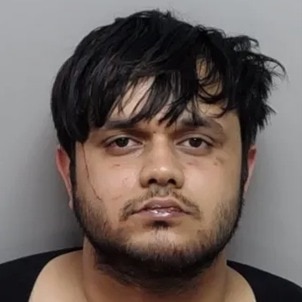 Indian man accused of assaulting mother-daughter in US, biting toddler