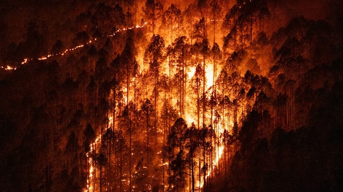 A view of a forest fire spreading on a hill. (Photo: X/@alokntyl) India's forests in the hills are burning. Who is behind it?