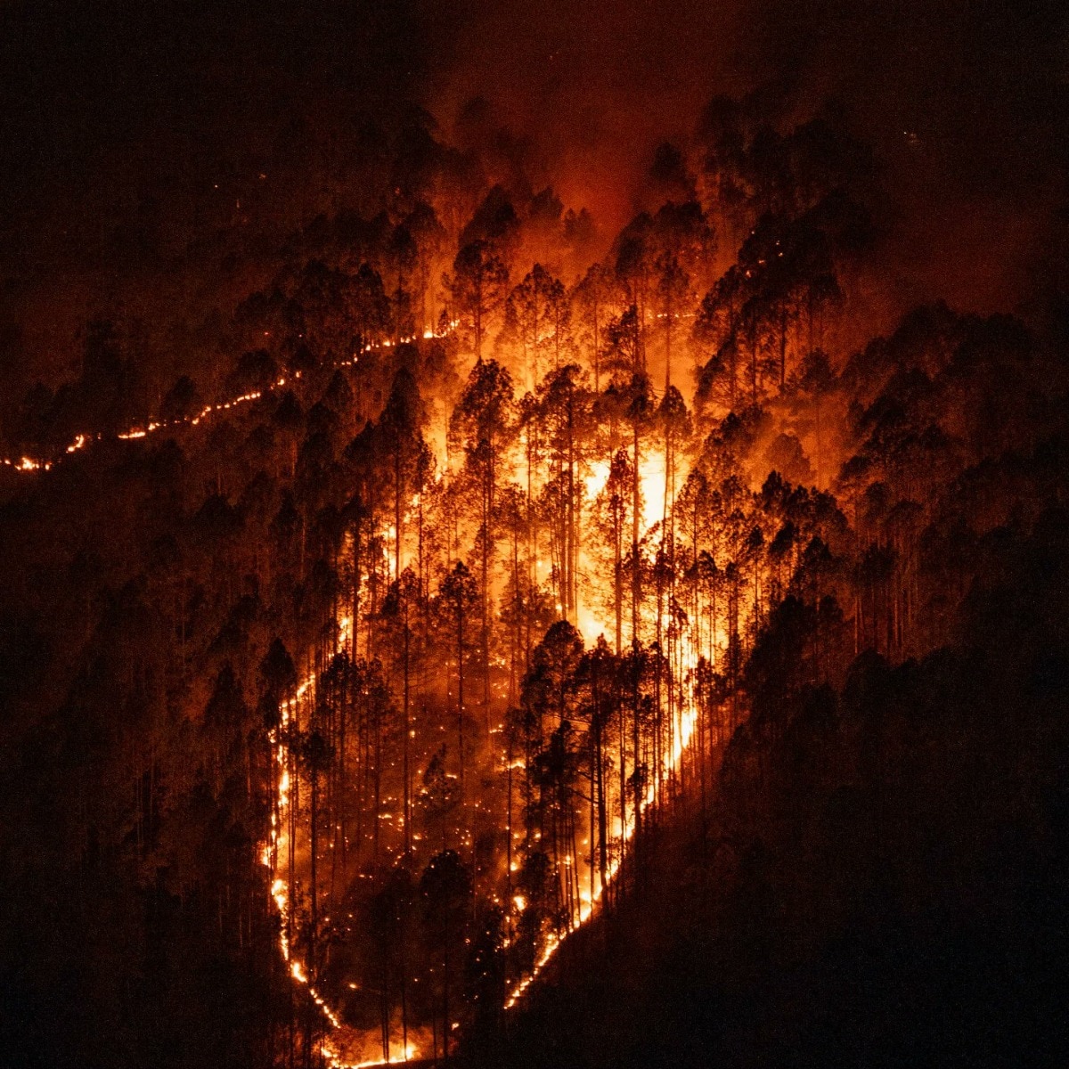 Forests across Uttarakhand are burning: The reason is not just dry weather