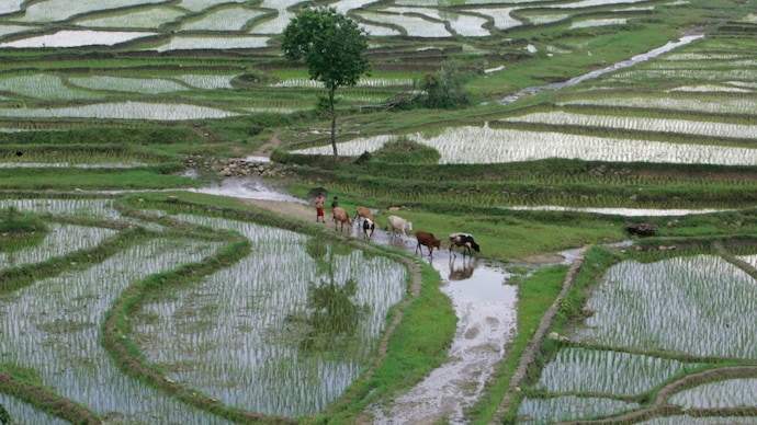 Isro has mapped India down to the village level using high-resolution satellite imagery, marking National Panchayati Raj Day 2026. (Photo: Reuters) Isro has mapped India down to the village level using high-resolution satellite imagery, marking National Panchayati Raj Day 2026. (Photo: Reuters)