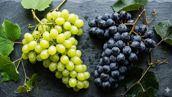 Both green and black grapes pack nutrients, but black grapes edge ahead with higher antioxidants