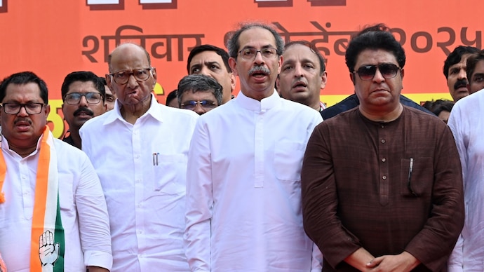 Photo: Mandar Deodhar