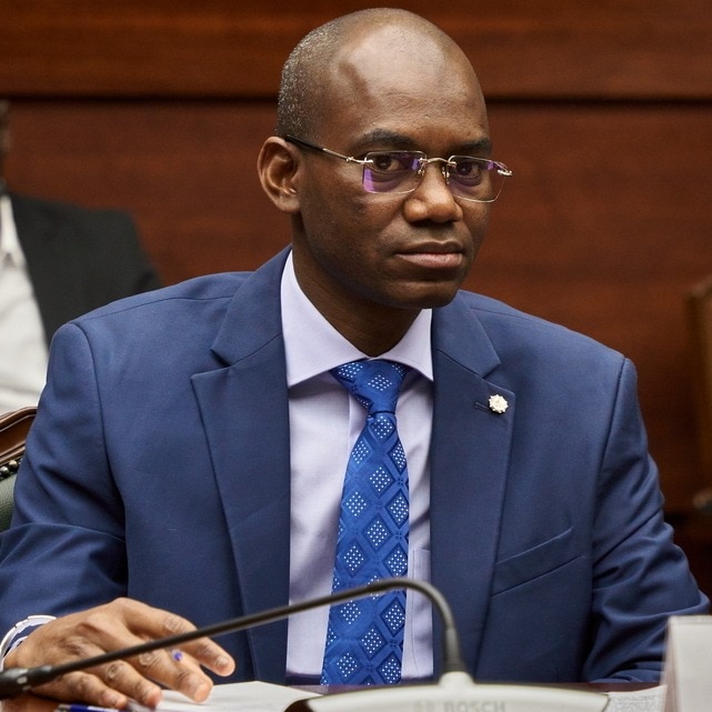 Mali Defence Minister killed in terror attack as violence escalates