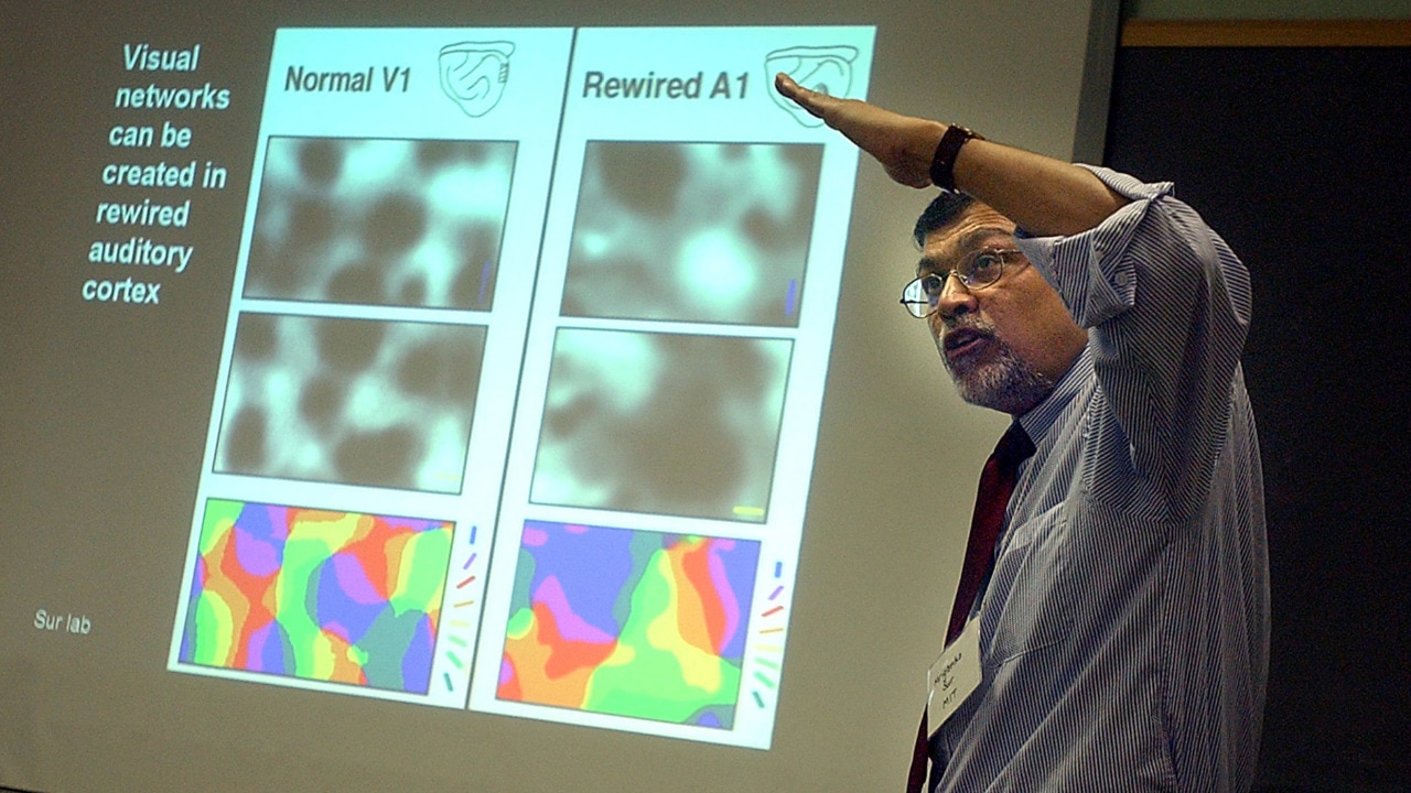 Meet Mriganka Sur, the IIT Kanpur engineer called Newton of brain science at MIT