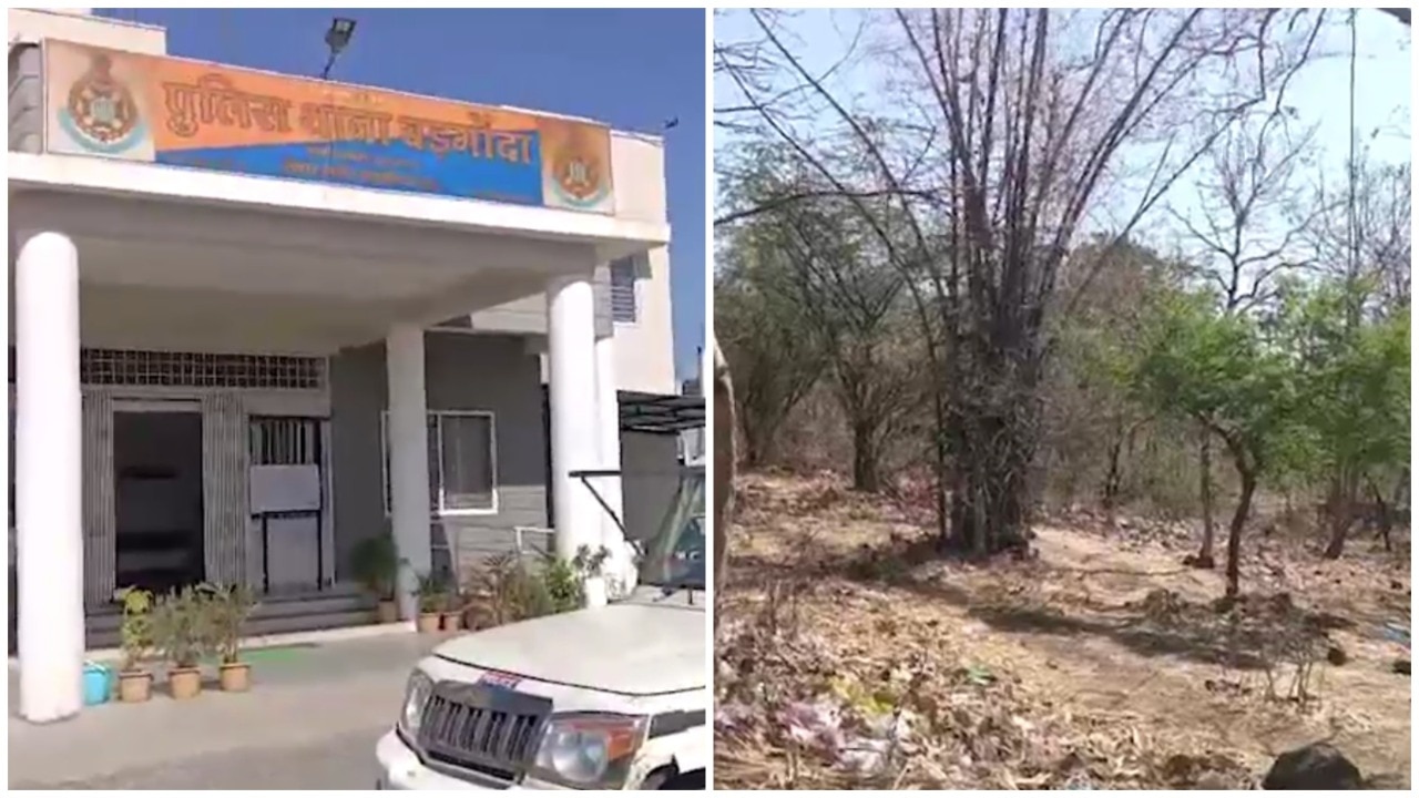 College student gang-raped in Madhya Pradesh forested area, friend beaten