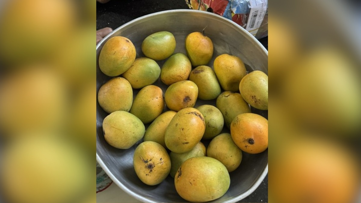 Mumbai woman shares how her boss sent mangoes after she mentioned missing them
