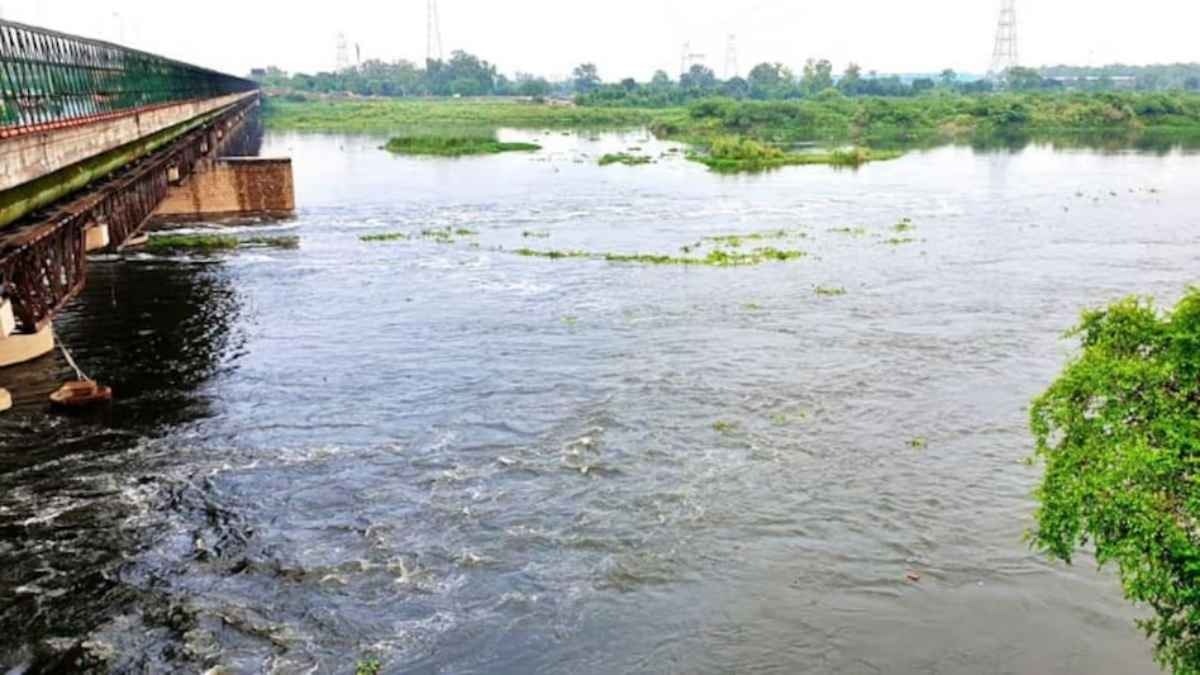 Haryana woman dumps infant daughter in drain, says struggling with 5 children