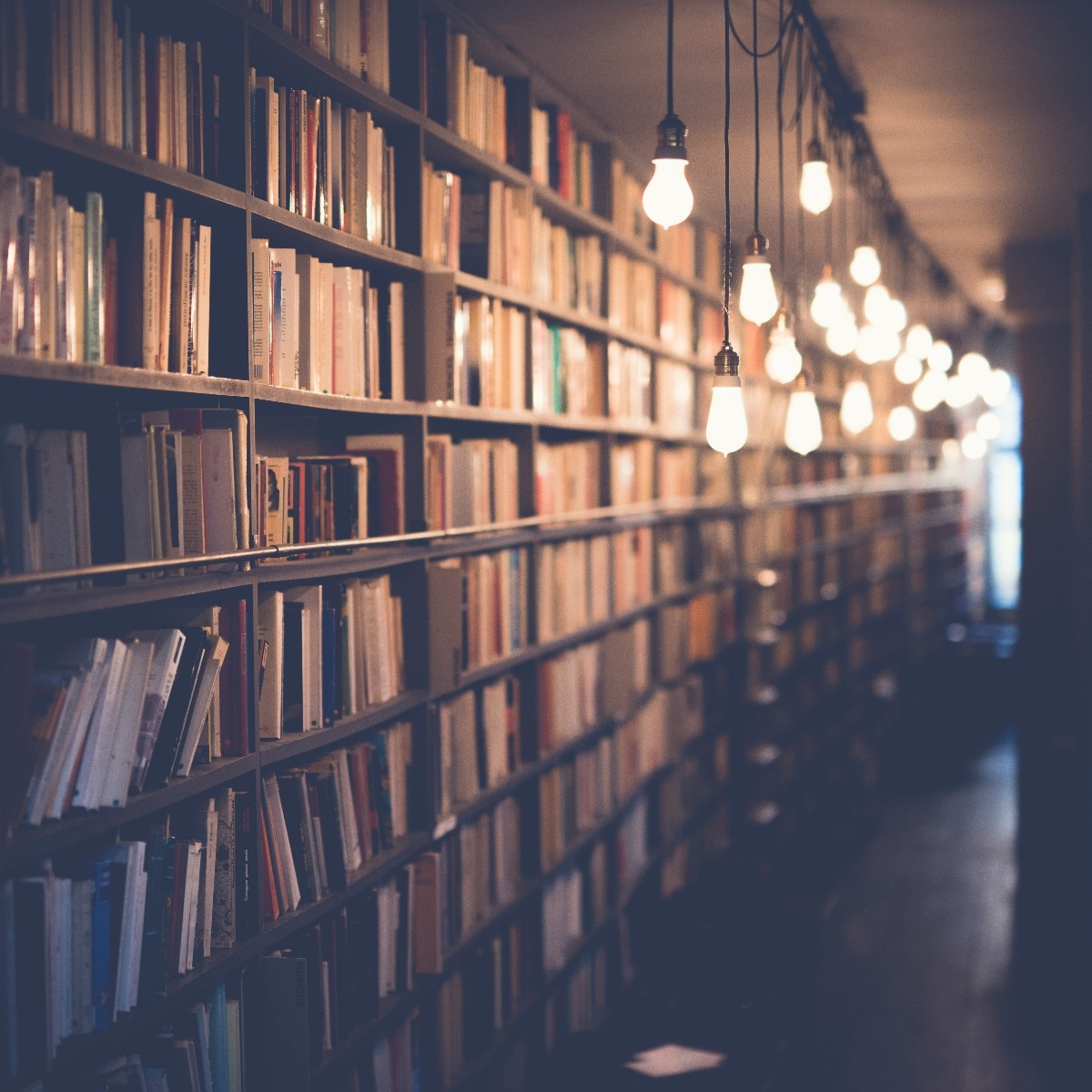 World Book Day 2026: History, significance and all you need to know