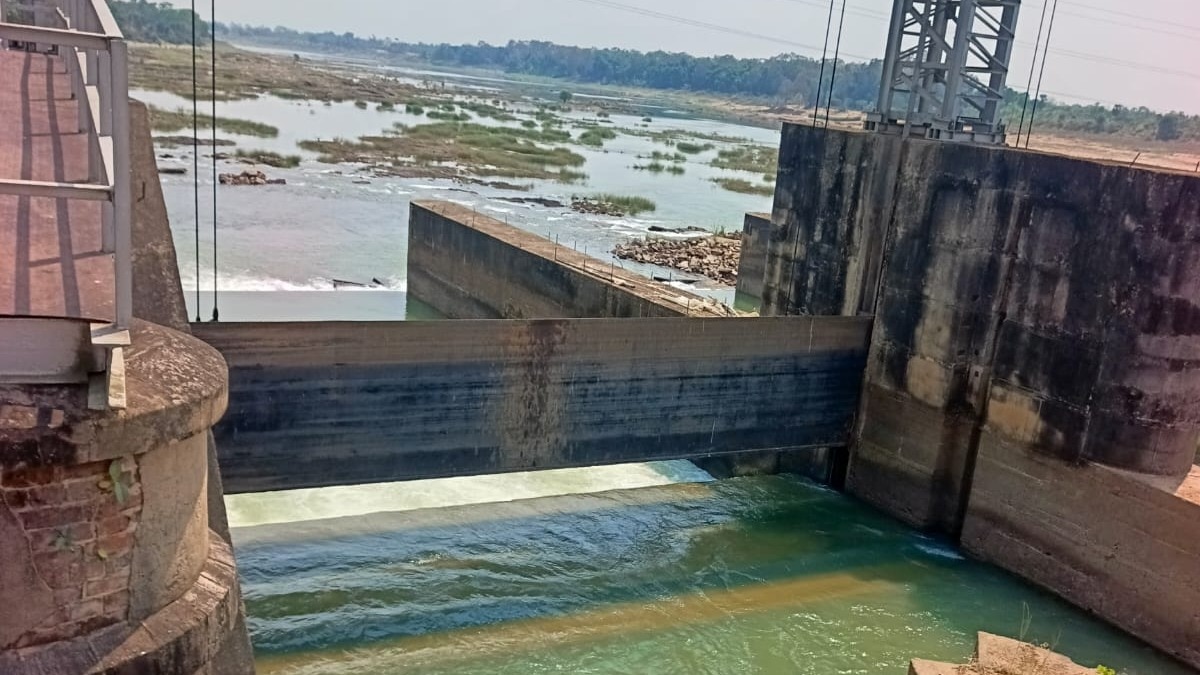 Man dies after live fish gets stuck in throat while fishing in Odisha