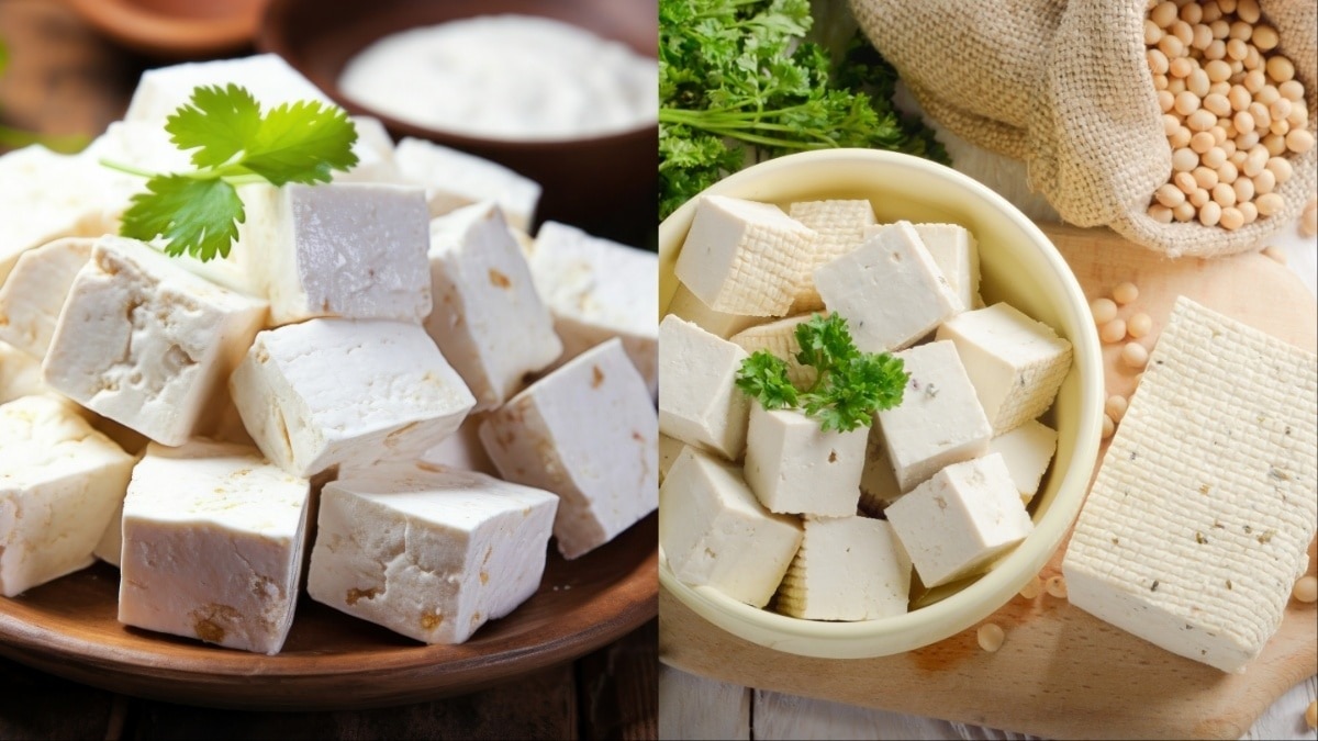 Paneer vs tofu vs watermelon seed paneer: Which one is healthier?