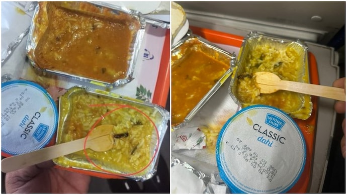 Passenger finds insect in Vande Bharat meal, IRCTC fines vendor Rs 10 lakh (Photos: @adityadidwania/X) Passenger finds insect in Vande Bharat meal, IRCTC fines vendor Rs 10 lakh
