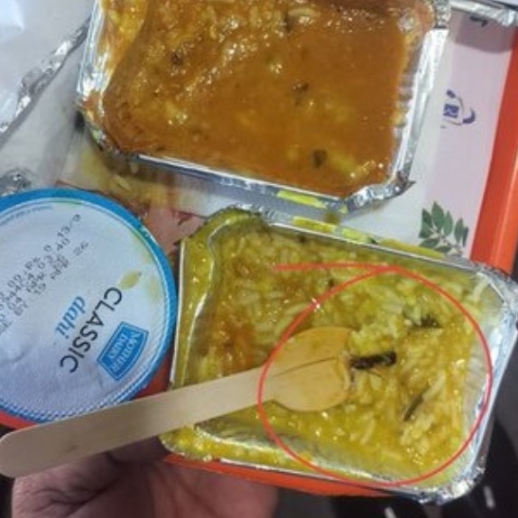 Vande Bharat passenger finds insect in meal, IRCTC fines vendor Rs 10 lakh