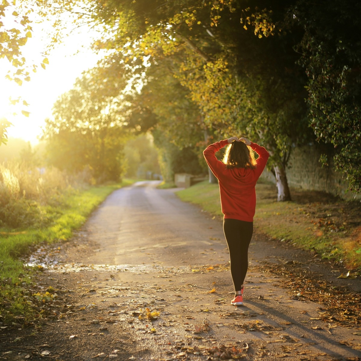 Japanese walking tops 2026 fitness trend: What does science say?