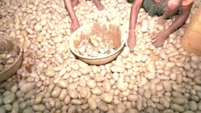 Farmers in Bengal’s Singur are dumping potatoes after a bumper harvest triggered a sharp price crash. Potato