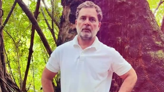 Rahul Gandhi calls the Great Nicobar Project a scam Rahul Gandhi calls the Great Nicobar Project a scam