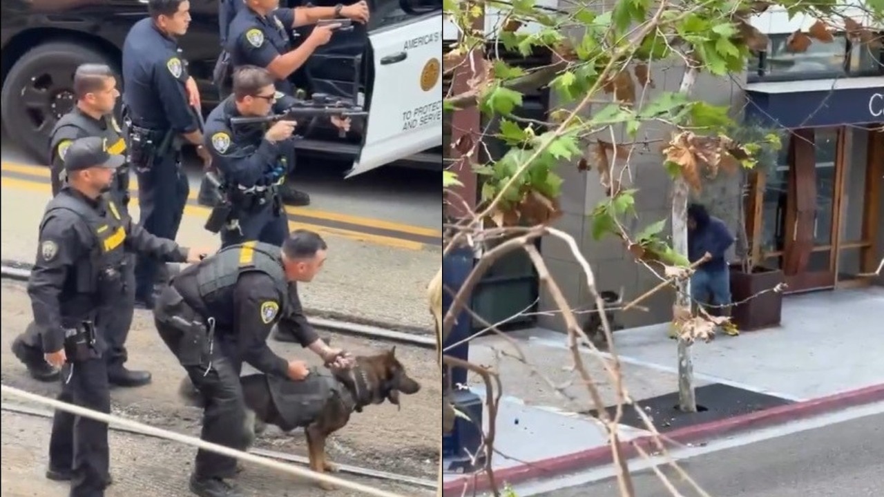 Watch: Police dog tackles, bites suspect after violent attack on attendant in US