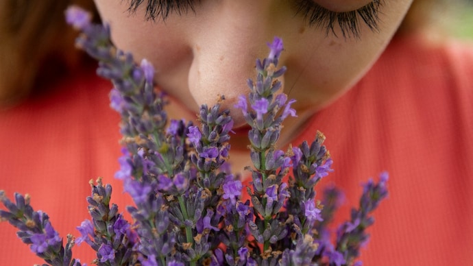 Scientists have just mapped the nose for the first time. It turns out our sense of smell is far more organised than we ever imagined, paving the way for new treatments for smell loss. (Photo: Unsplash) Scientists have just mapped the nose for the first time. It turns out our sense of smell is far more organised than we ever imagined, paving the way for new treatments for smell loss. (Photo: Unsplash)