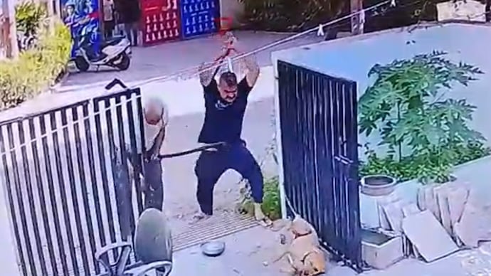 The duo allegedly used sticks and pipes to beat the dog repeatedly. The duo allegedly used sticks and pipes to beat the dog repeatedly.