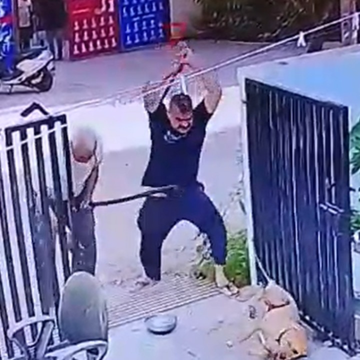 Father-son duo thrash neighbour's chained dog with pipe, stick in Gujarat