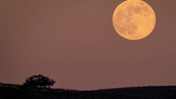 What is May Flower Full Moon 2026? Know date, time and how to watch in India (Photo: AP) The Wolf Supermoon of January 3, 2026, will rise in the east shortly after sunset, appearing significantly brighter and larger than a standard full moon. (Photo: AP)