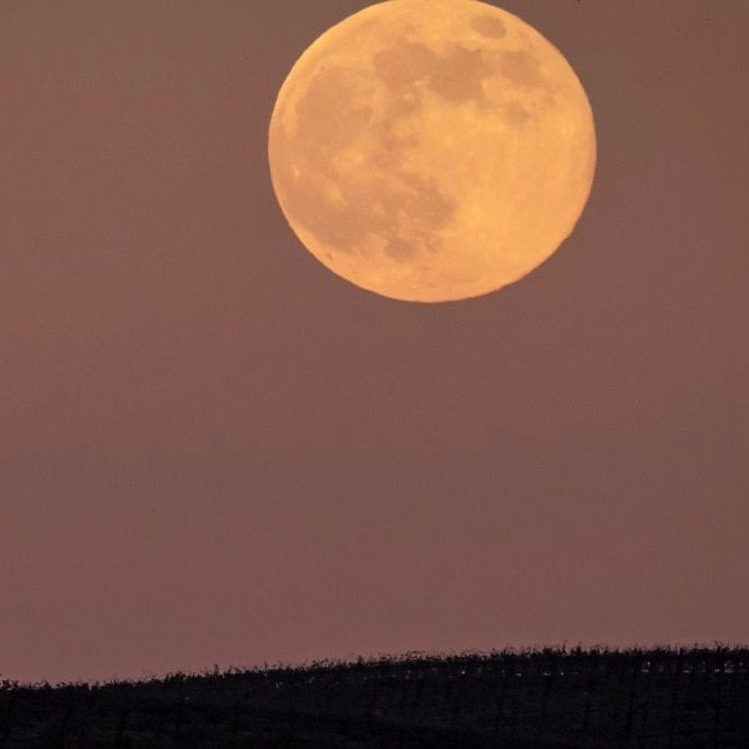 What is May Flower Full Moon 2026? Know date, time and how to watch in India