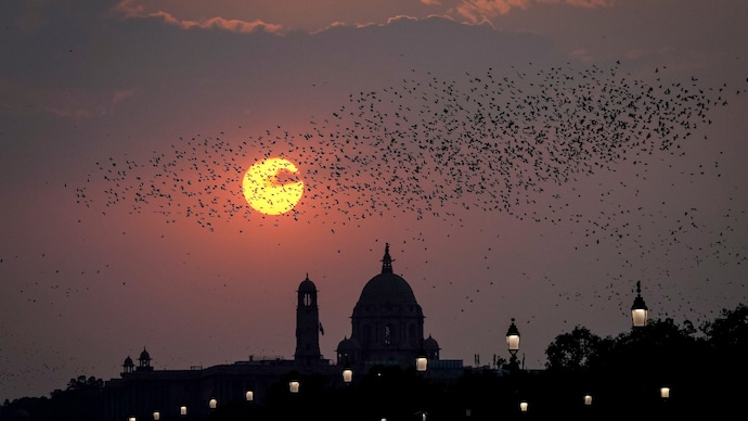 A flock of starlings flies over the Raisina Hill area during sunset, in New Delhi. (Photo: PTI) Thousands of birds fly as one over Delhi: Nature’s stunning drone show explained