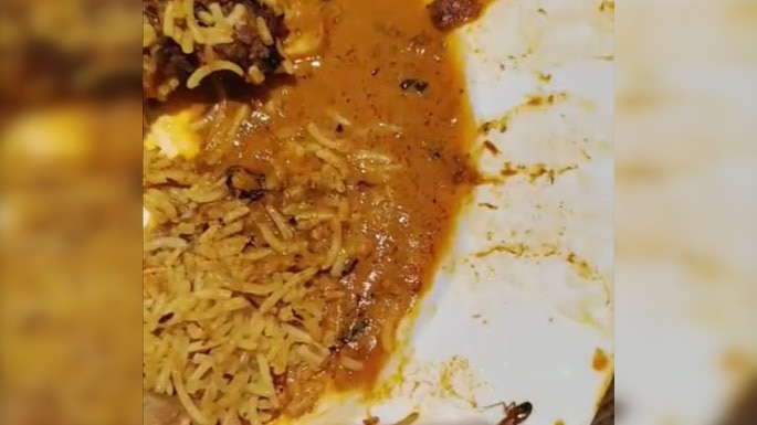 UP restaurant sealed after cockroach found in biryani during birthday party