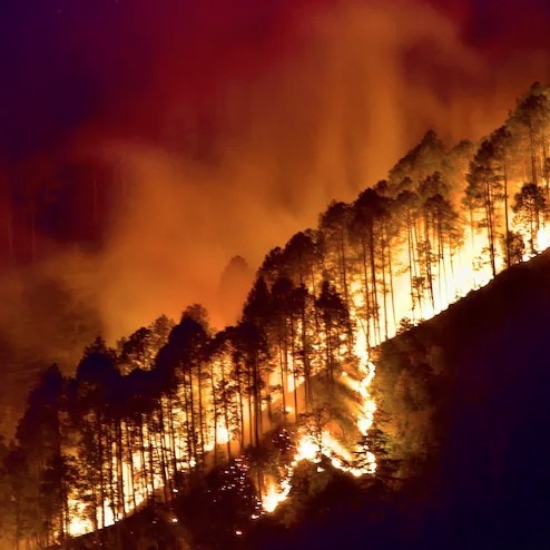 Uttarakhand to Tamil Nadu: Parts of India in grip of forest fires. See satellite images