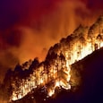 Uttarakhand forest fire Uttarakhand forest fire