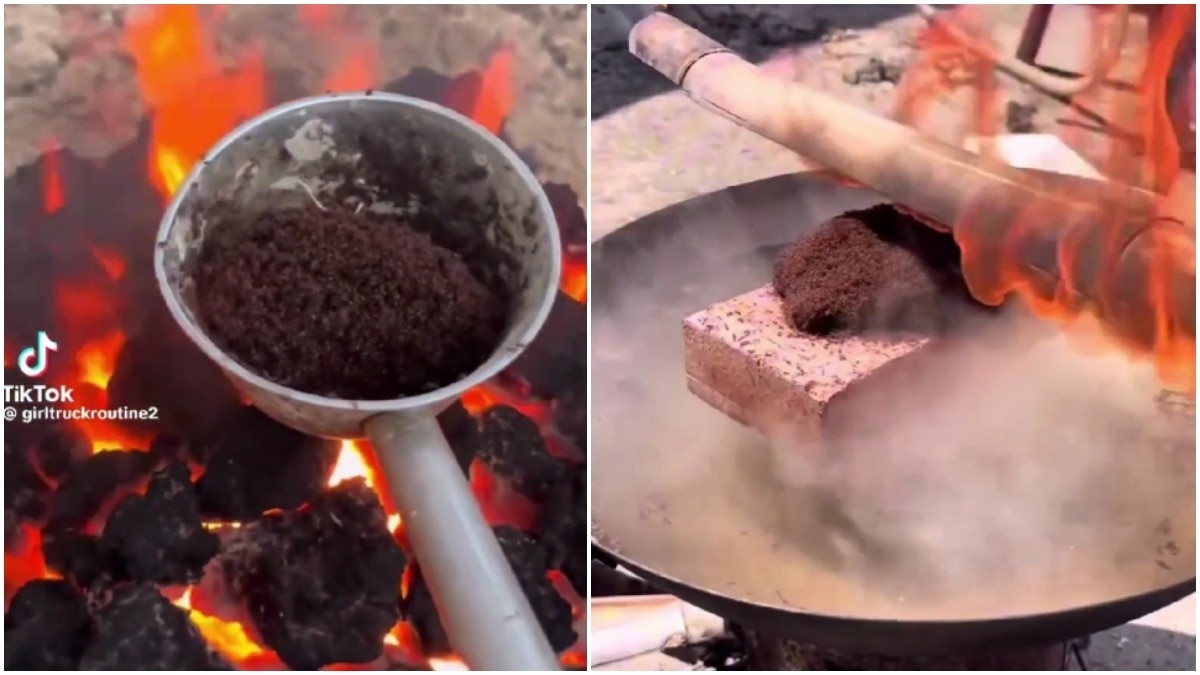 Viral video of 'mass murder of ants' has internet treating it like a crime scene