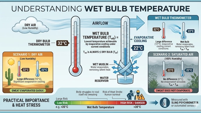 Wet-bulb temperature shows how heat and humidity affect the body’s ability to cool itself, making extreme conditions in India more dangerous and increasing the risk of heatstroke and death. (AI generated image) Wet-bulb temperature shows how heat and humidity affect the body’s ability to cool itself, making extreme conditions in India more dangerous and increasing the risk of heatstroke and death.