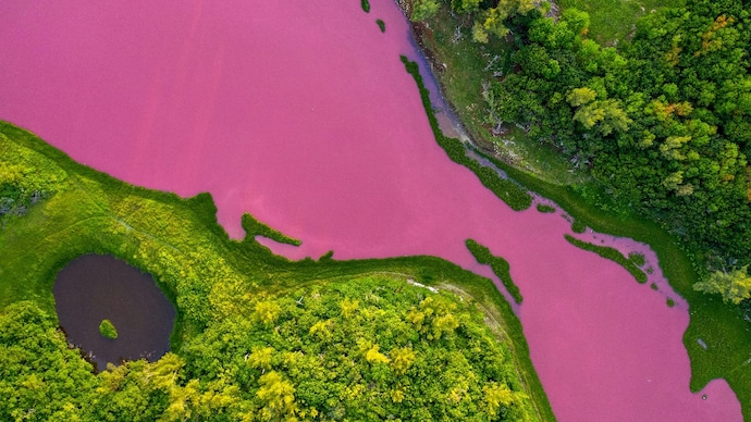 Lake Hillier in Australia appears bright pink due to salt-loving bacteria and algae. Here’s a simple explanation of the science behind its colour and why it stays pink. Why is Lake Hillier Pink? The science behind Australia’s candy-coloured lake
