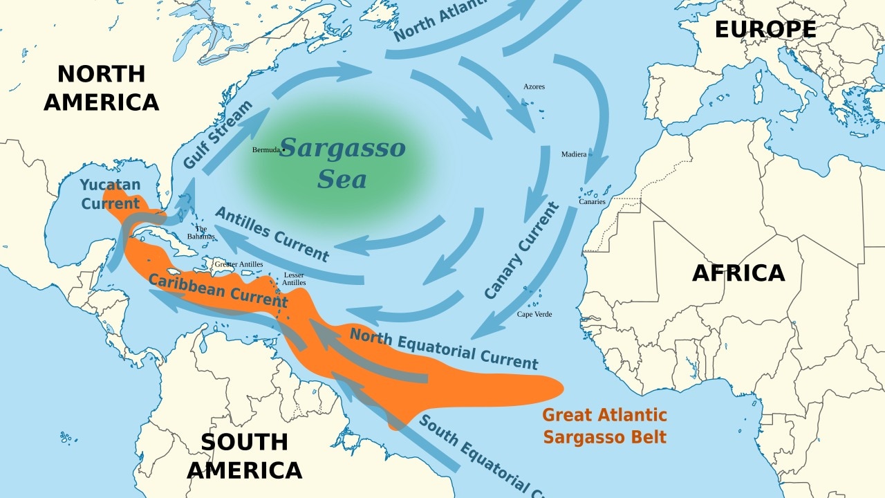 This is the only sea on Earth with no coastline, and it's full of life