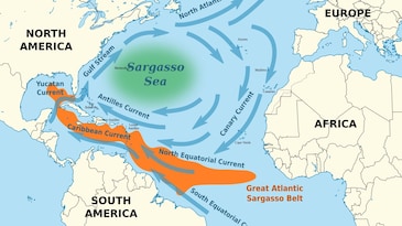 This is the only sea on Earth with no coastline, and it's full of life This is the only sea on Earth with no coastline, and it's full of life