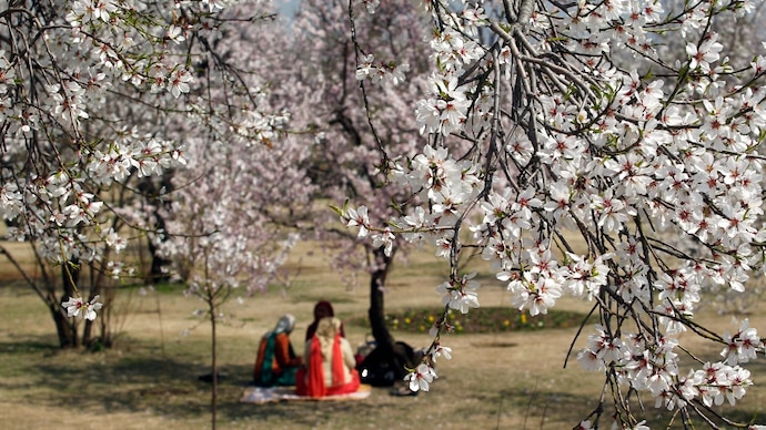 A cool May so far: Will summer of 2026 become hotter or not?
