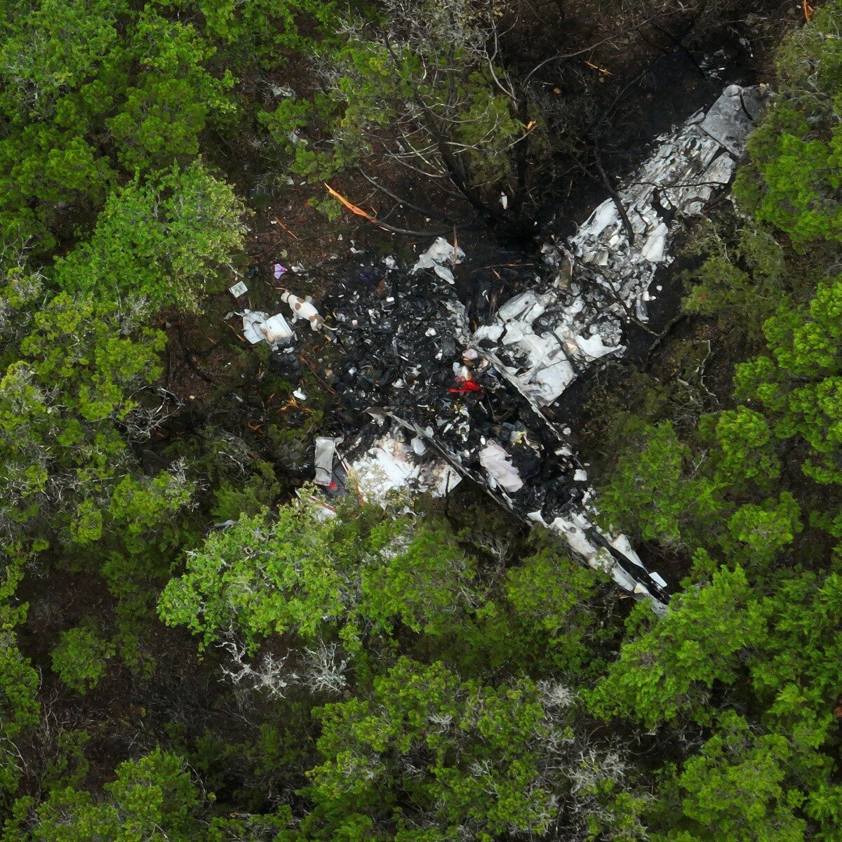 Five killed as plane carrying pickleball players crashes in Texas