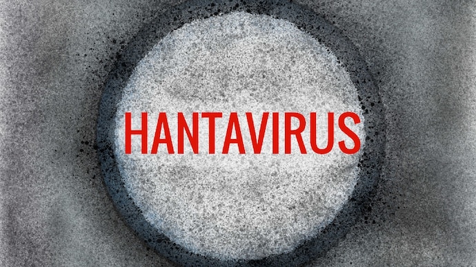 The Argentina project was trying to study how hantavirus moves from rodents to humans and whether the virus could spread more easily between people under certain conditions. (Photo: Getty Images) The Argentina project was trying to study how hantavirus moves from rodents to humans and whether the virus could spread more easily between people under certain conditions.