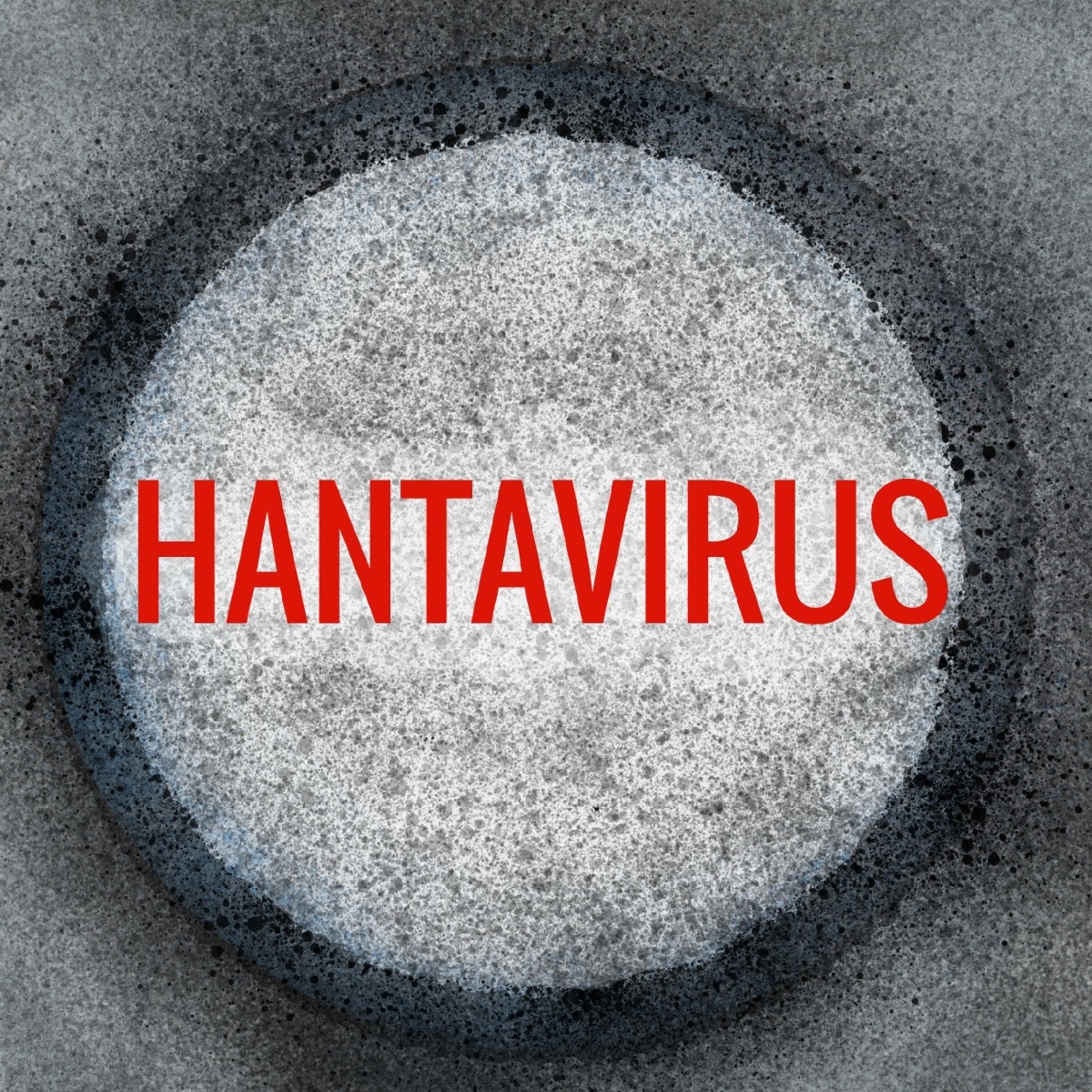Trump cut hantavirus research funding before deadly cruise ship outbreak